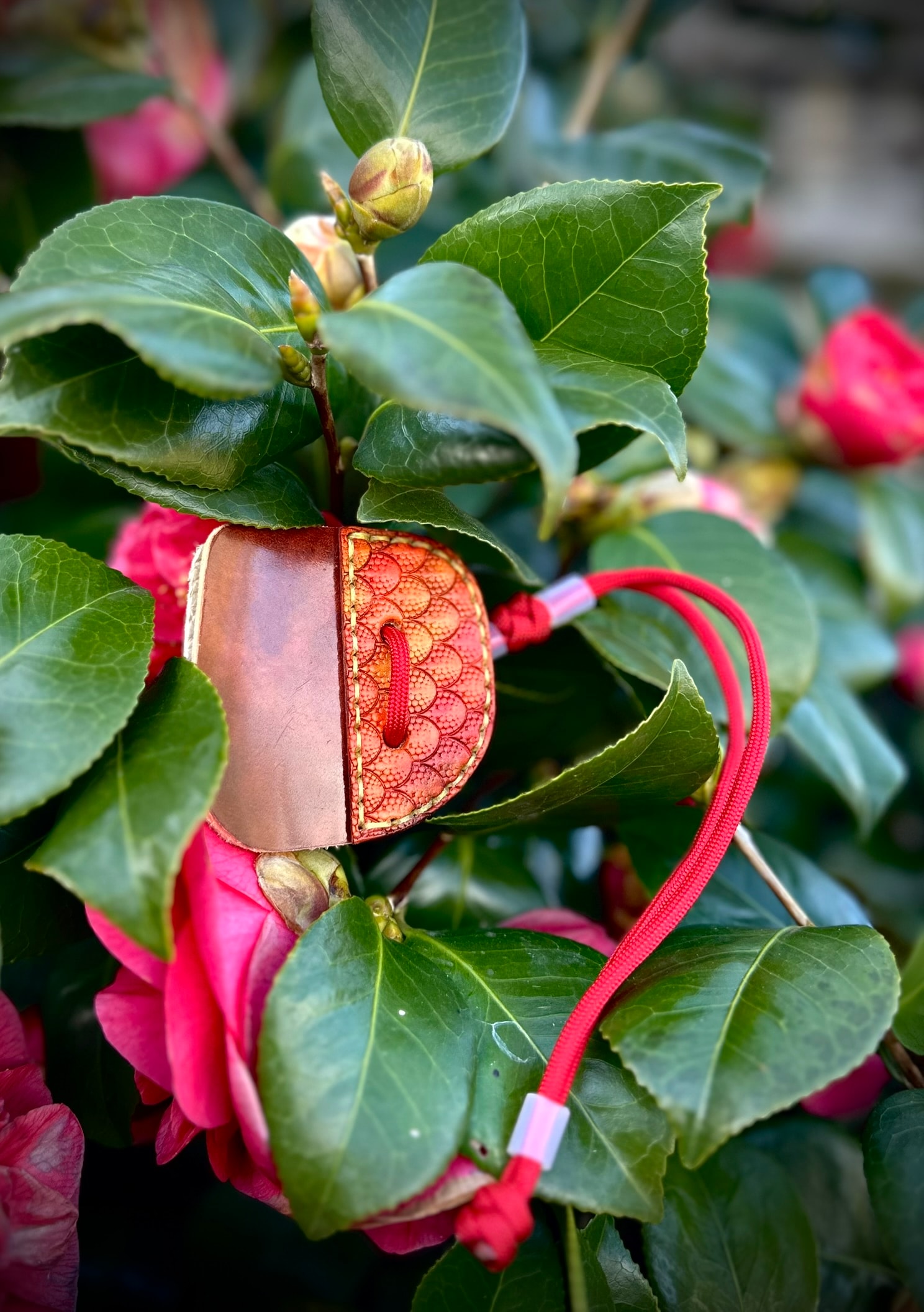 Orange and red dragon scale archery tab photographed in pink camellia flowers with red cord